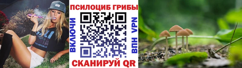 Купить  Елец  Галлюциногенные грибы мицелий 